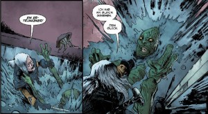 Ausschnitt aus The Witcher 1: Im Glashaus | &copy; Panini