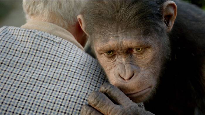 Szenenbild aus Planet der Affen: Prevolution | © Twentieth Century Fox